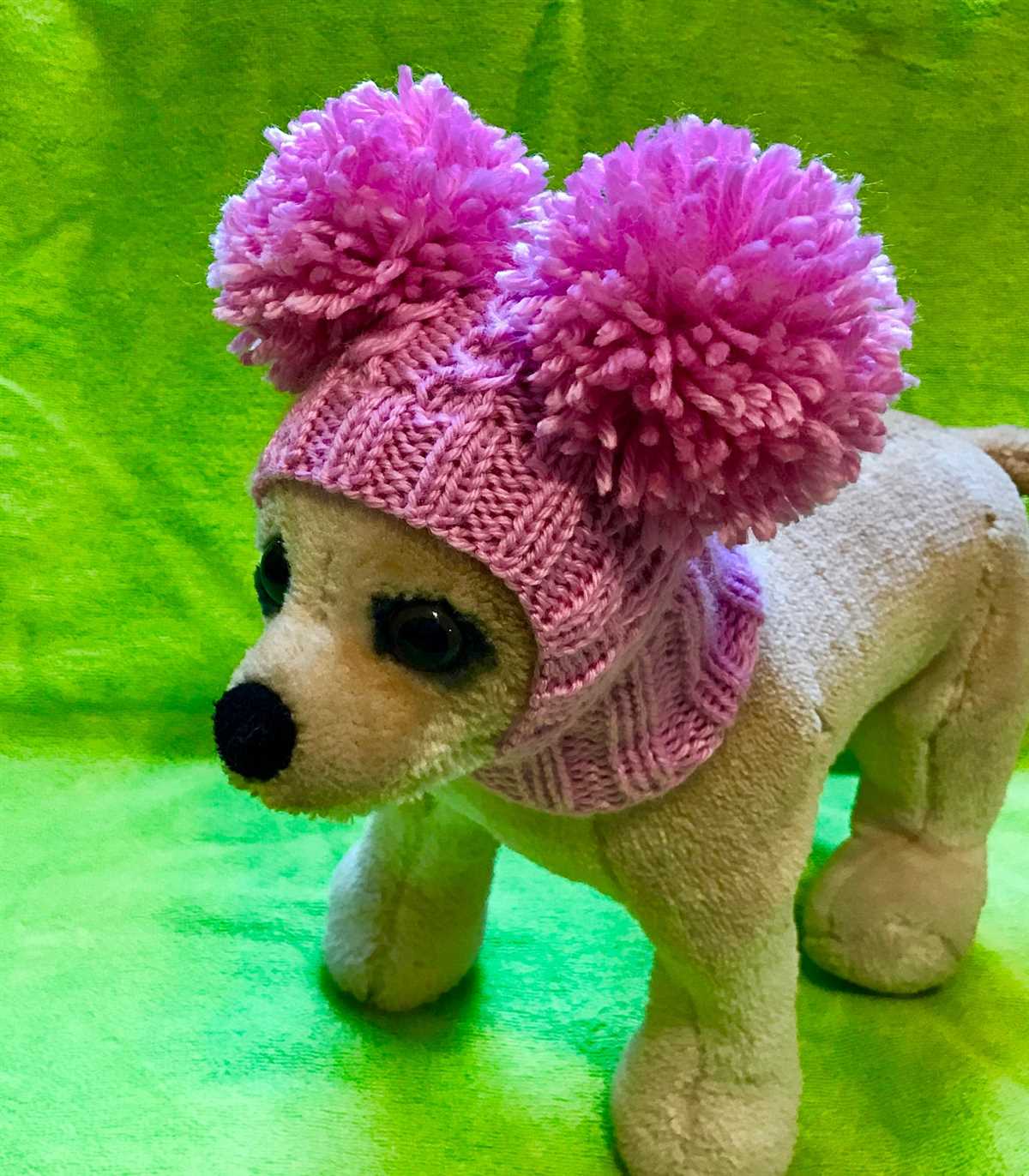 Chihuahua hat knitting patterns free