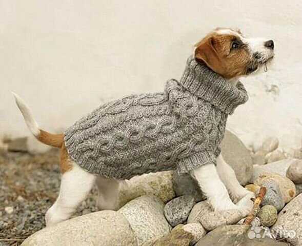 Free knitted dog coats patterns