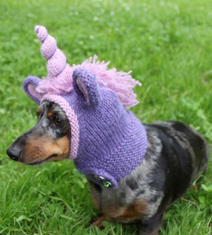 Free knitting patterns for dog hats