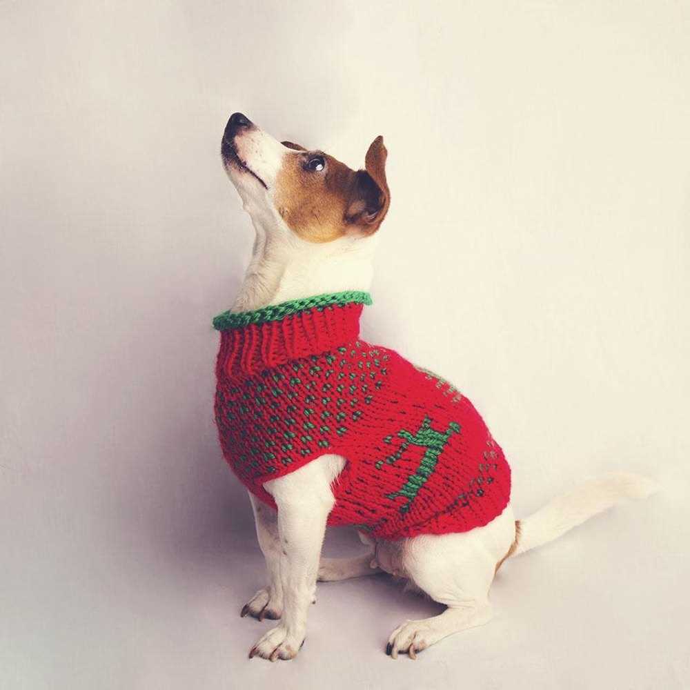 Free christmas knitting patterns for dogs