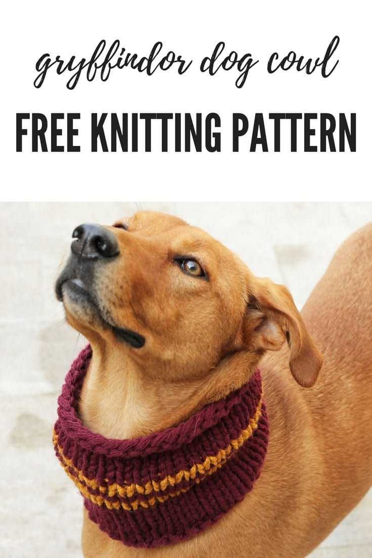 Knitted dog scarf pattern free