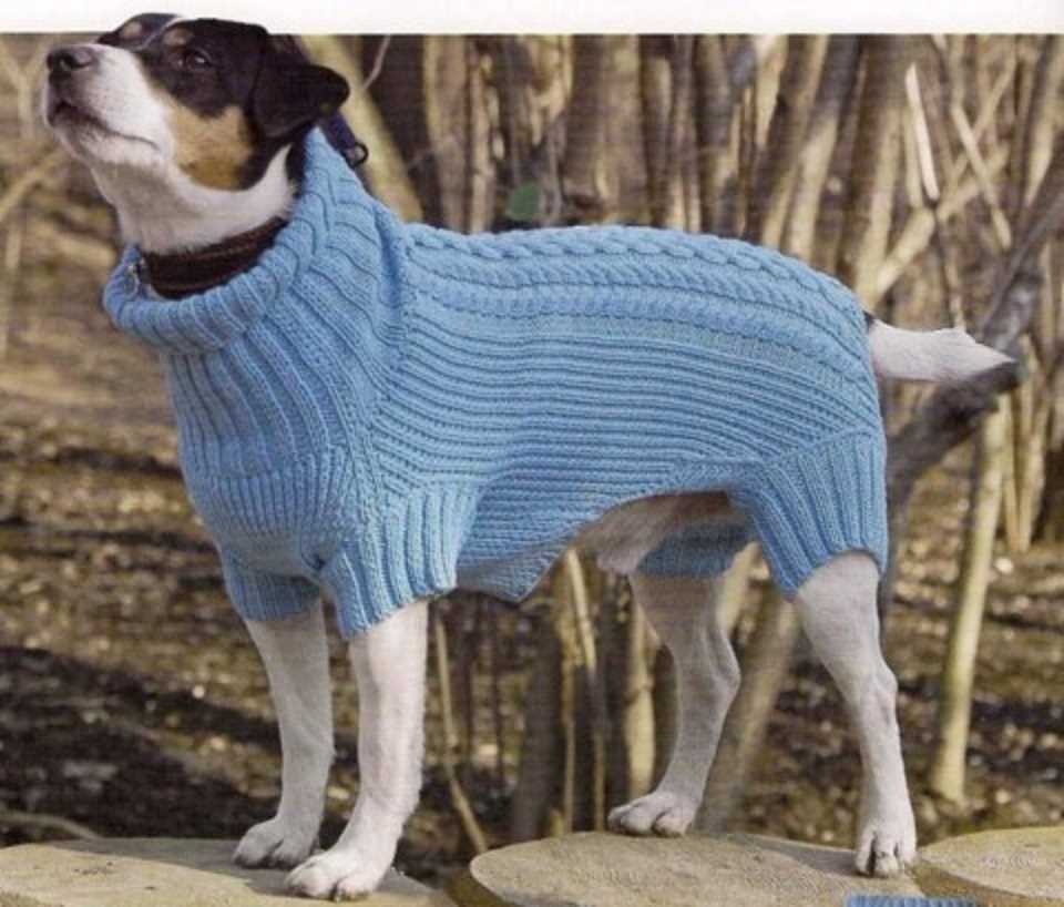 Boxer dog knitting pattern