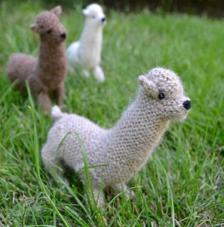 Alpaca knitting patterns