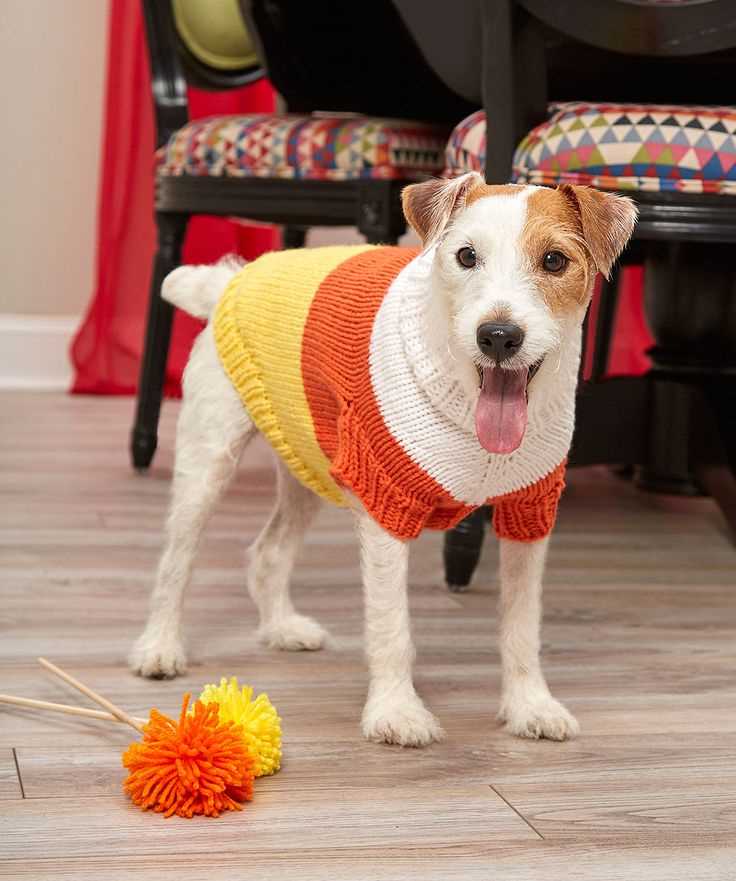 Dog sweater patterns to knit