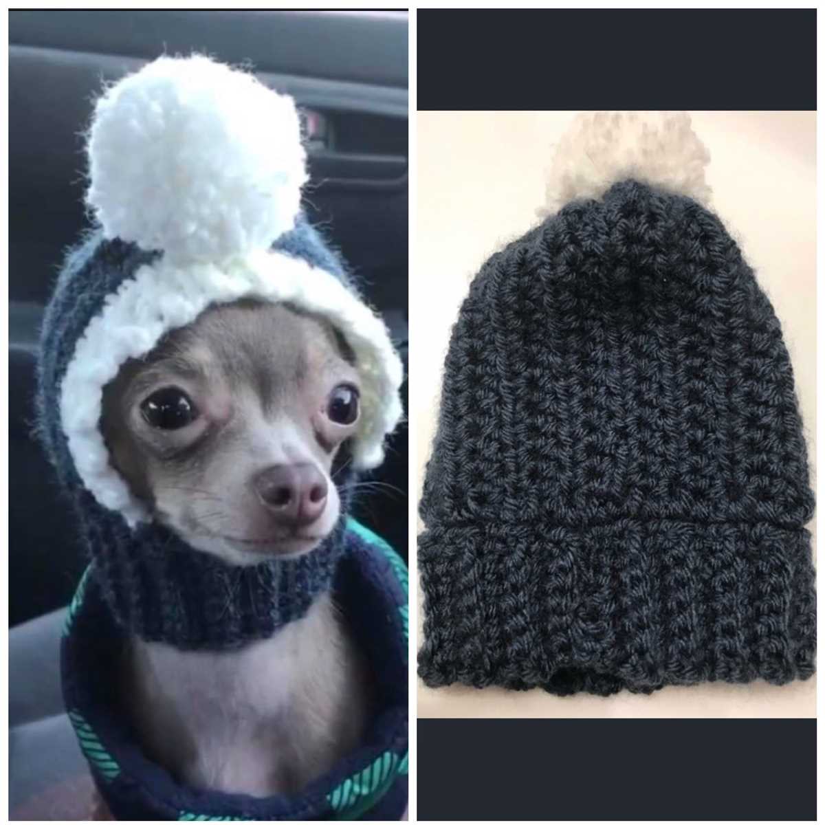 Chihuahua hat knitting patterns free