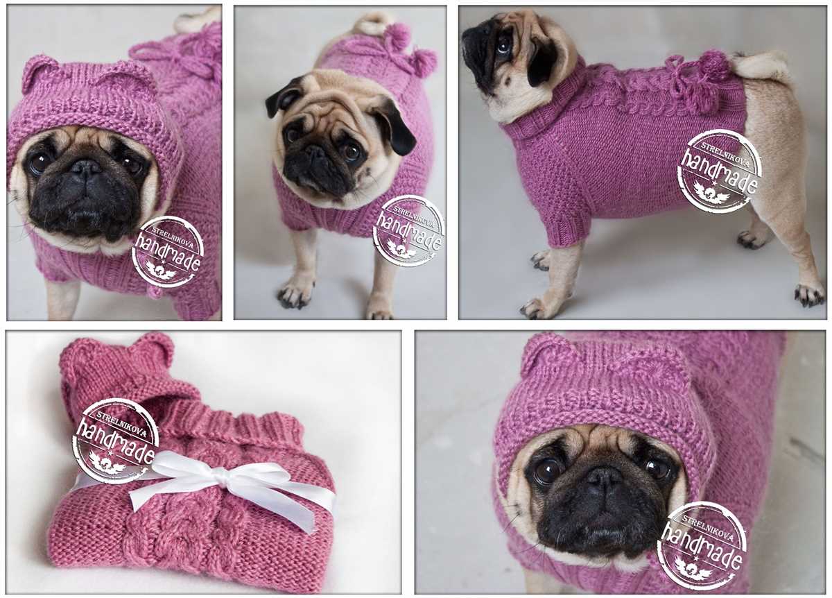 French bulldog knitting pattern free