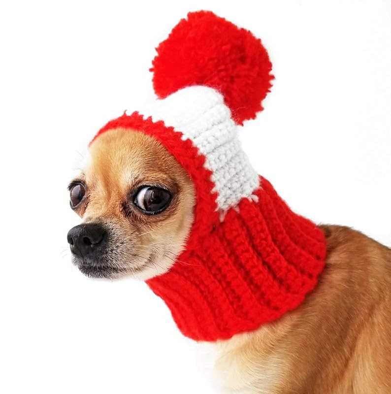 Chihuahua hat knitting patterns free