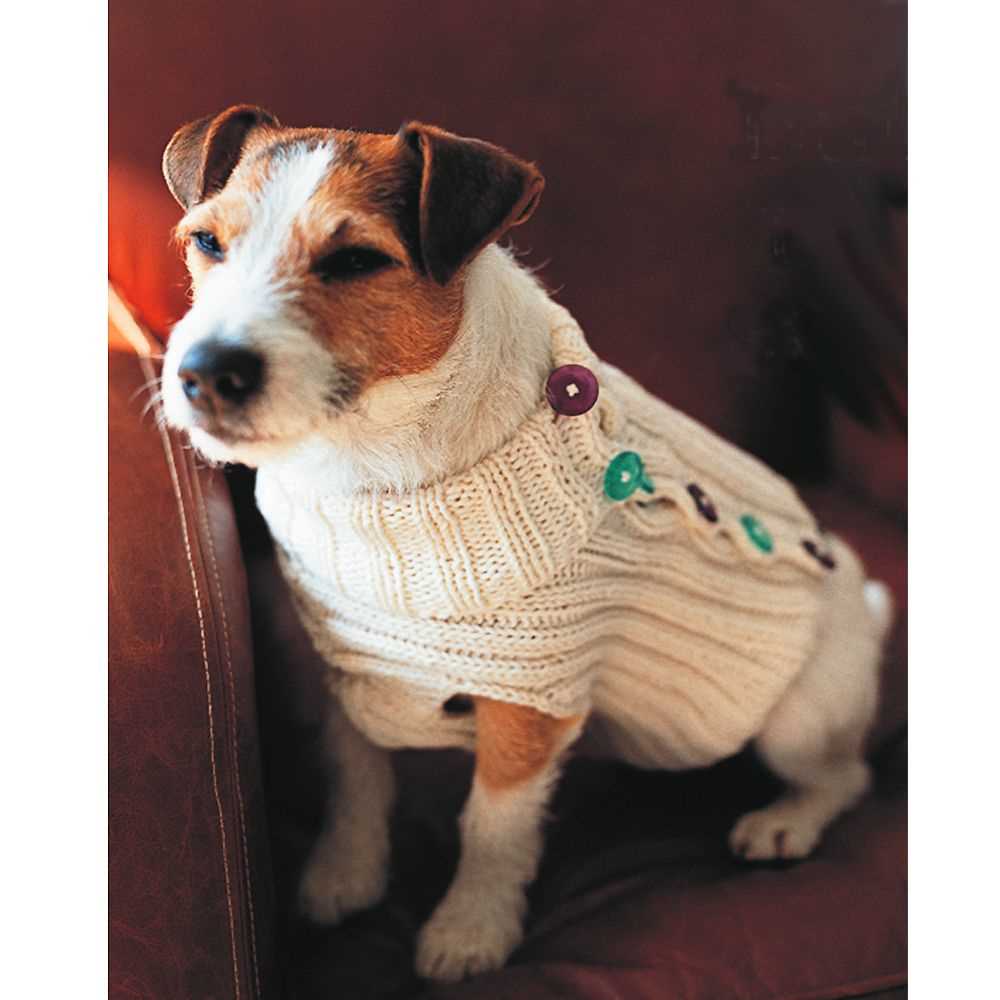 Free dog coat knitting patterns to download