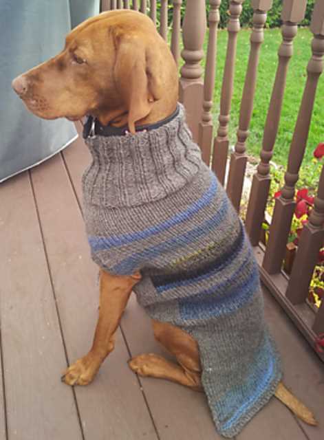 Knit dog jacket pattern