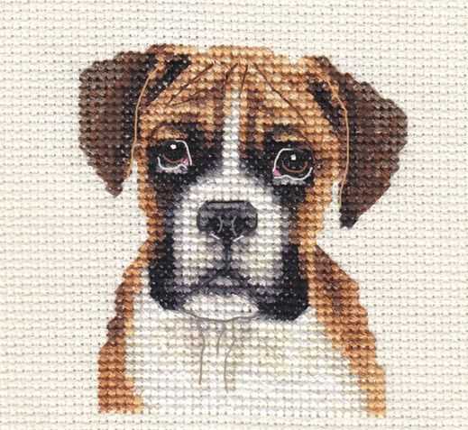 Boxer dog knitting pattern