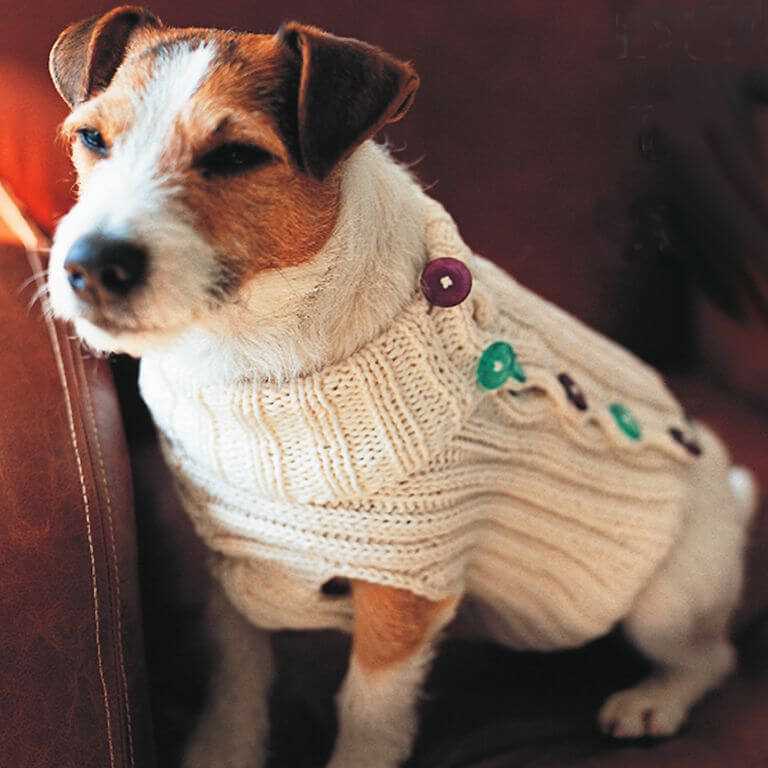 Cable knit dog sweater pattern