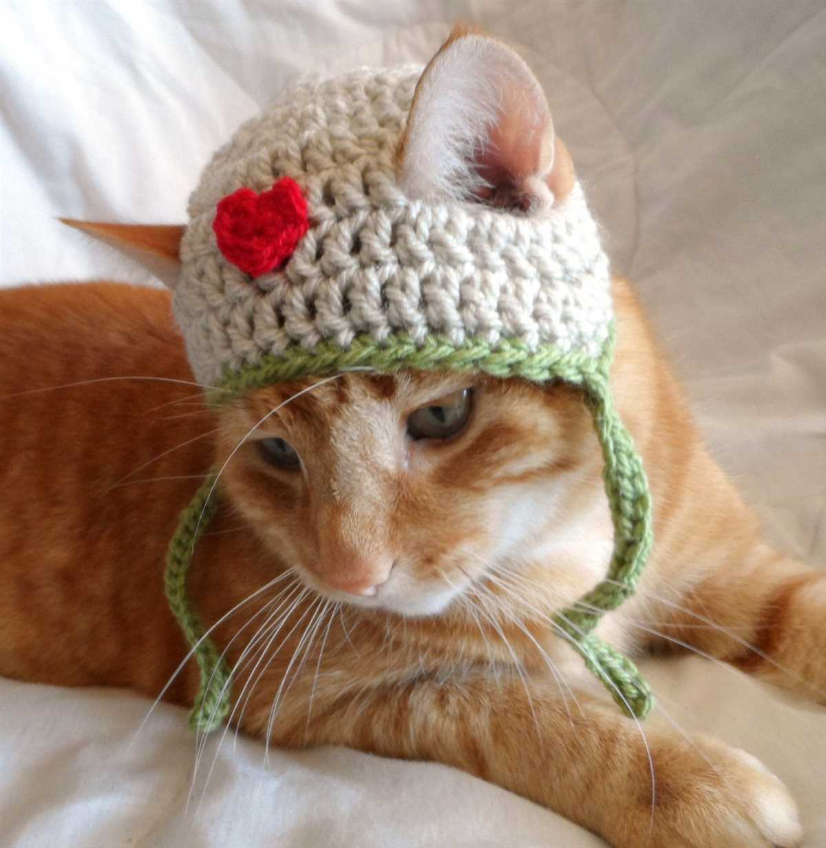 Cat hat knit pattern free