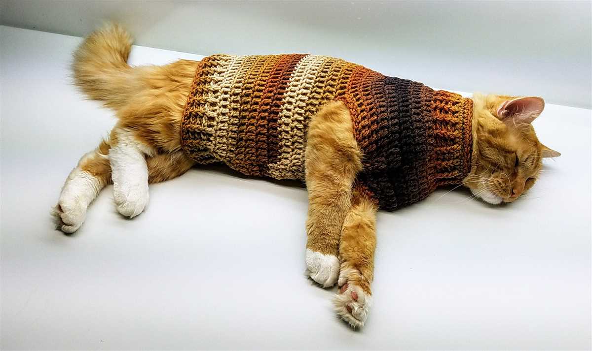 Cat knitting pattern sweater