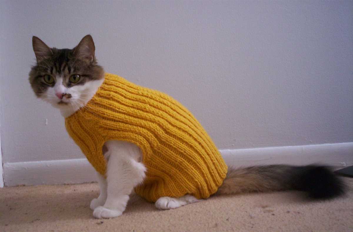 Cat hoodie knitting pattern