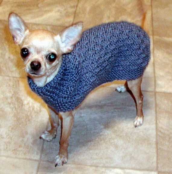 Chihuahua knitting pattern