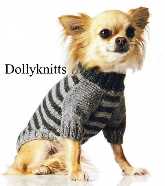 Chihuahua knitting pattern