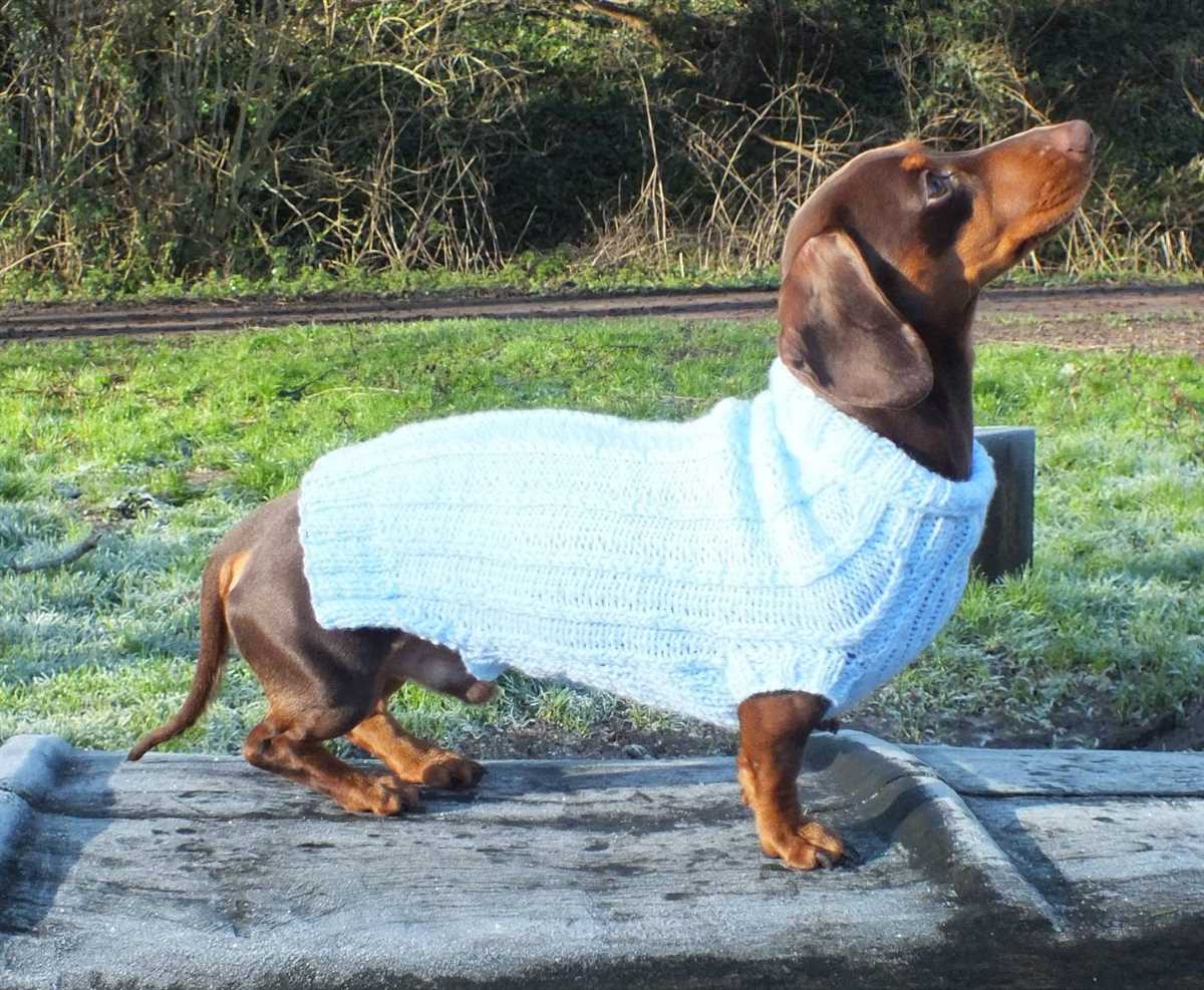 Dachshund jumper knitting pattern