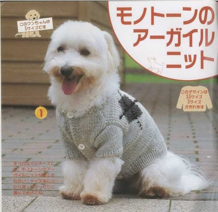 Dog clothes knitting patterns