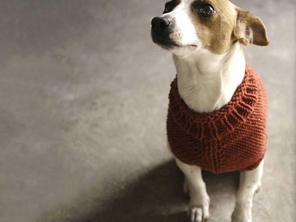 Dog sweater knitting pattern in the round