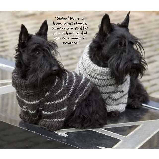 Dog jersey knitting pattern