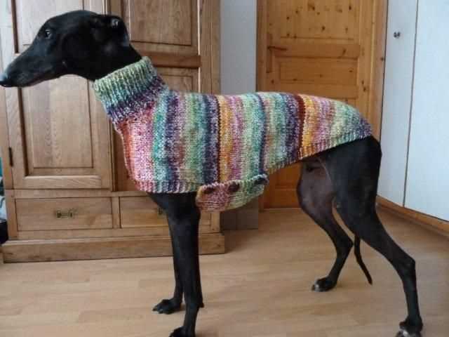 Dog jersey knitting pattern