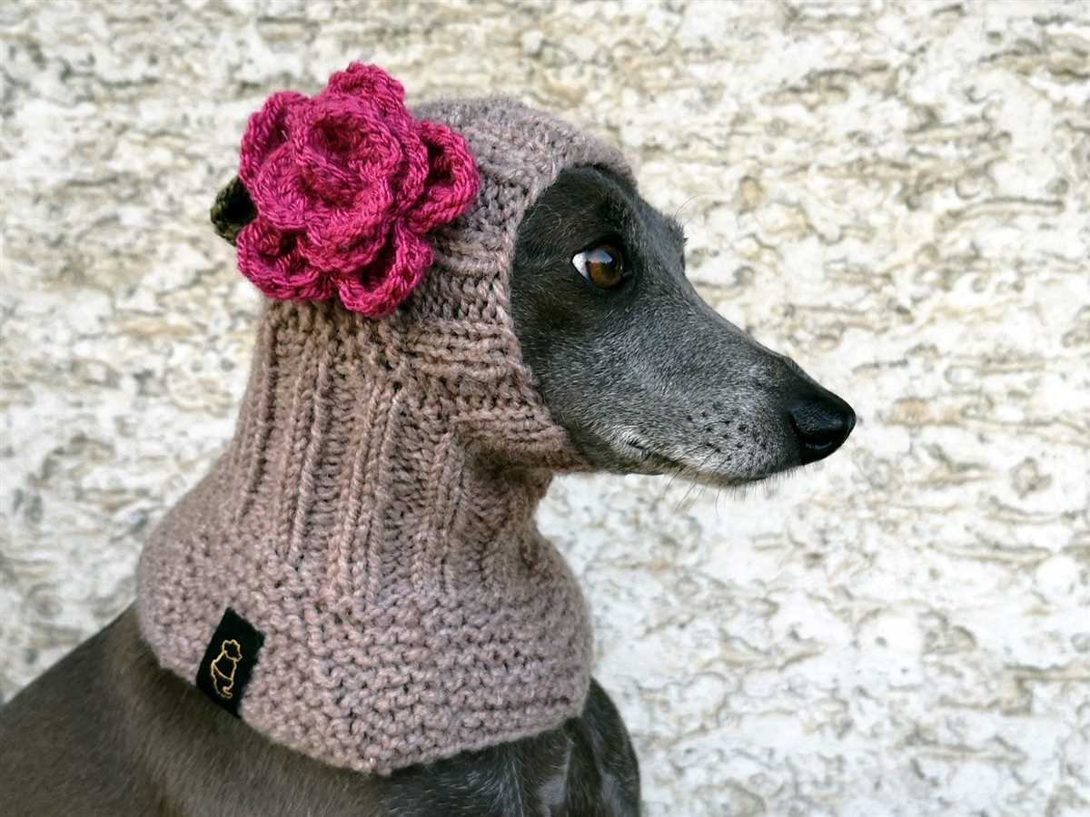 Dog snood knitting pattern free