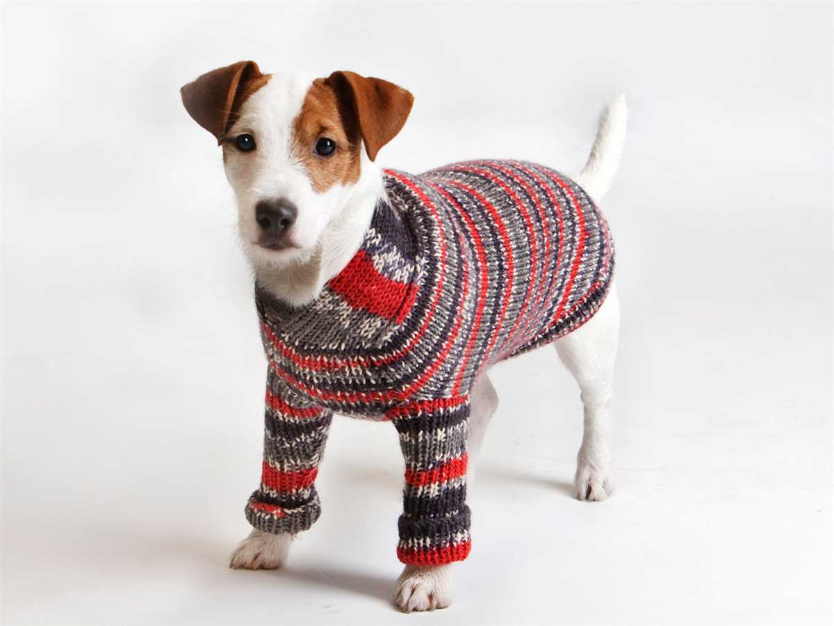 Dog sweater knitting pattern in the round