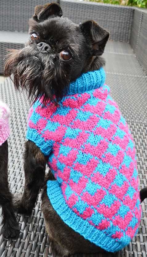 Dog sweater knitting pattern in the round