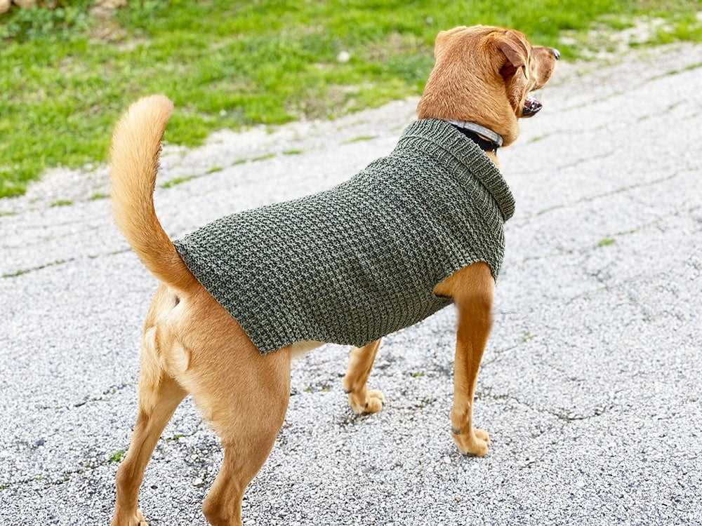 Dog sweater knitting pattern in the round