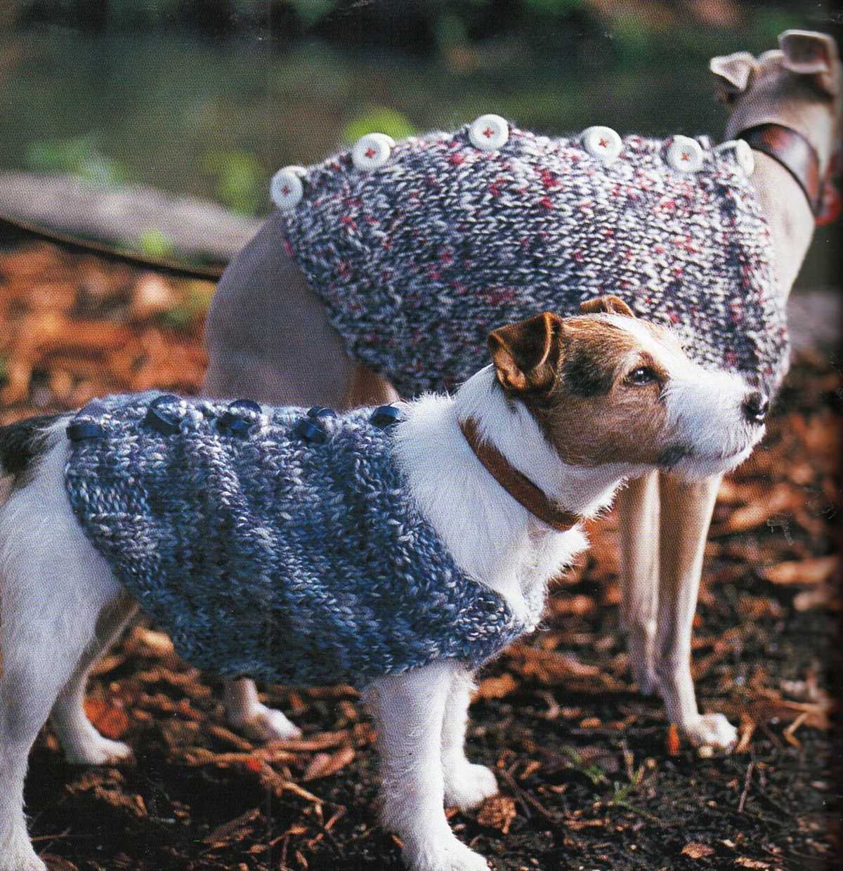 Free dog coat knitting patterns to download