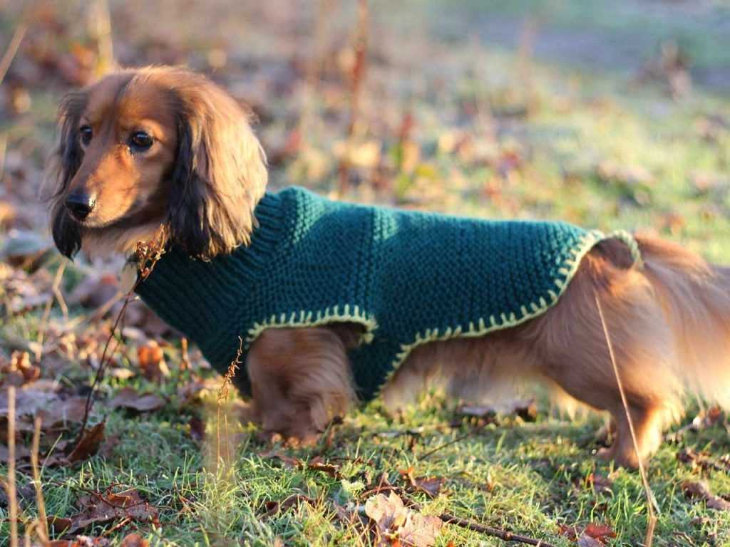 Free knit coat patterns