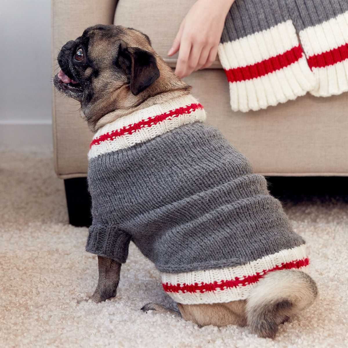 Free knitted dog coats patterns