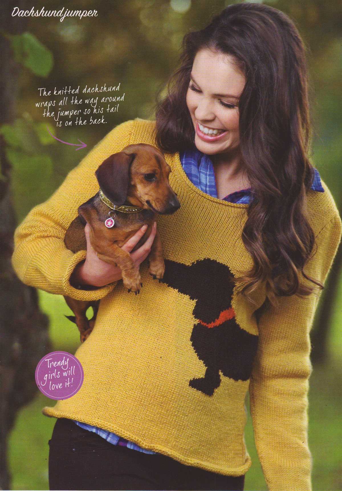 Free knitting pattern dog jumper