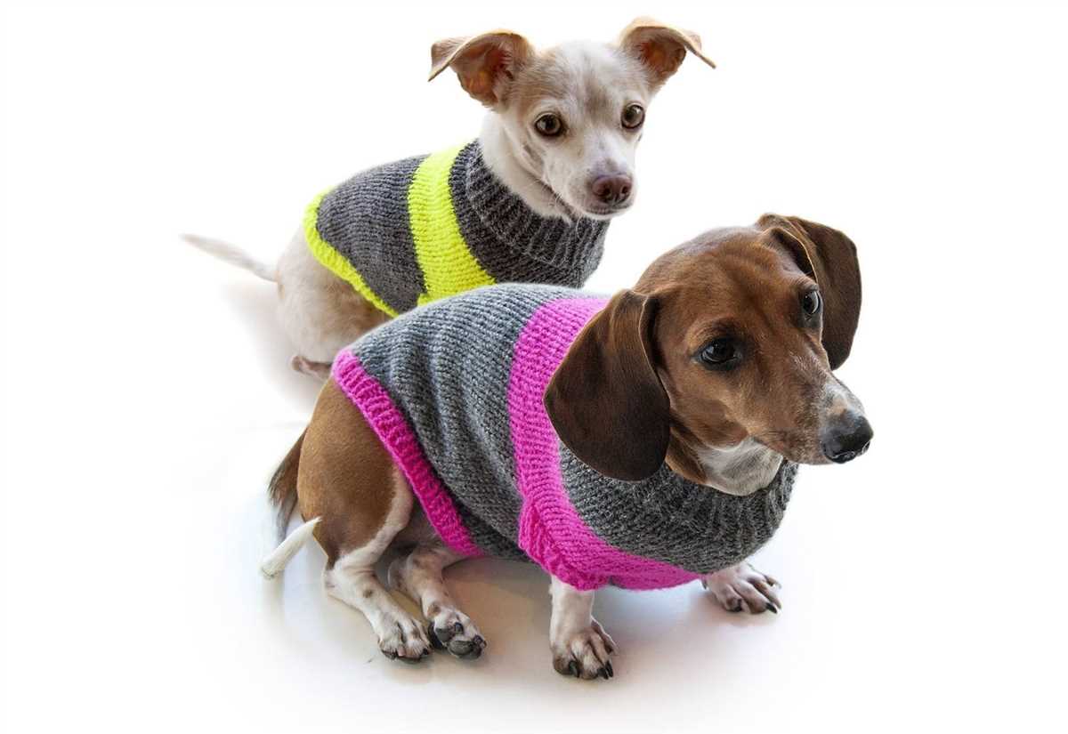 Free knitting pattern for dog coat