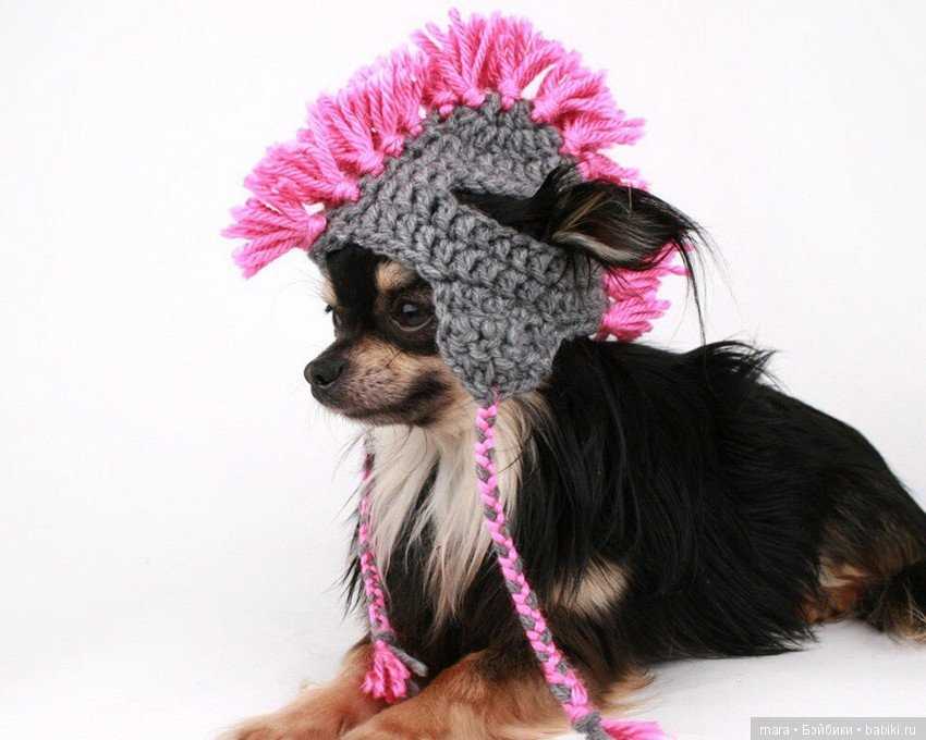 Free knitting patterns for dog hats