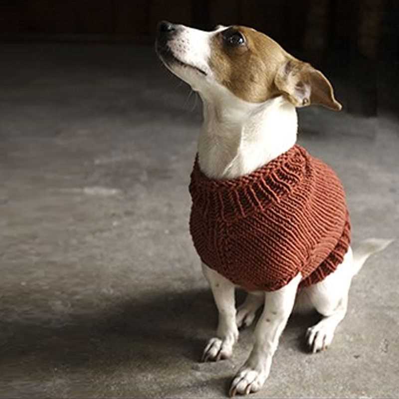 Free knitting patterns for miniature dachshund sweaters