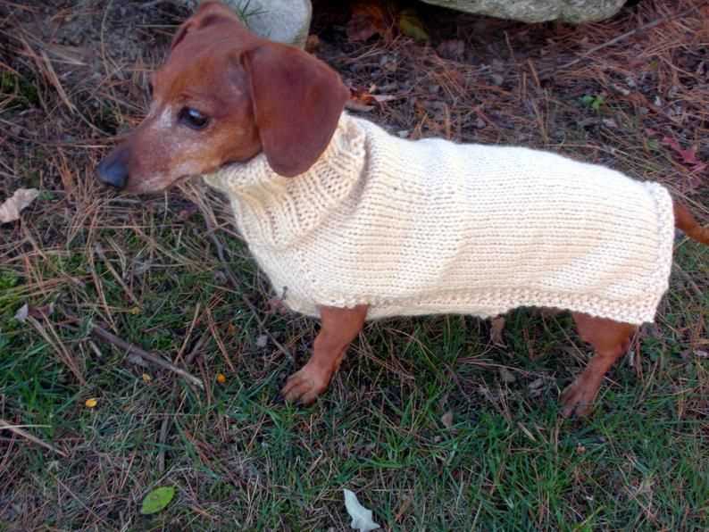 Free knitting patterns for miniature dachshund sweaters