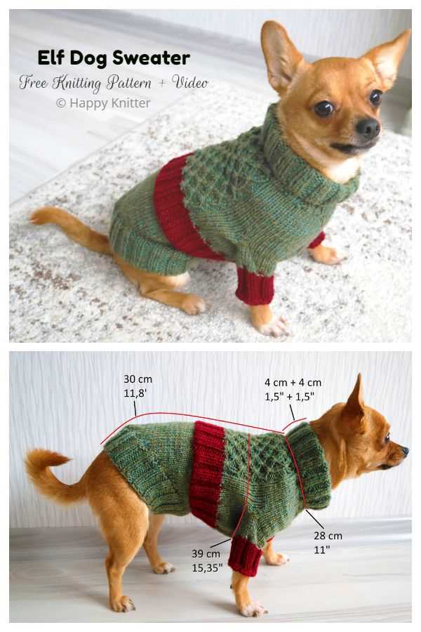 Free pattern for knitted dog sweater for small dogs