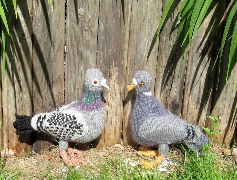 Free pigeon knitting pattern