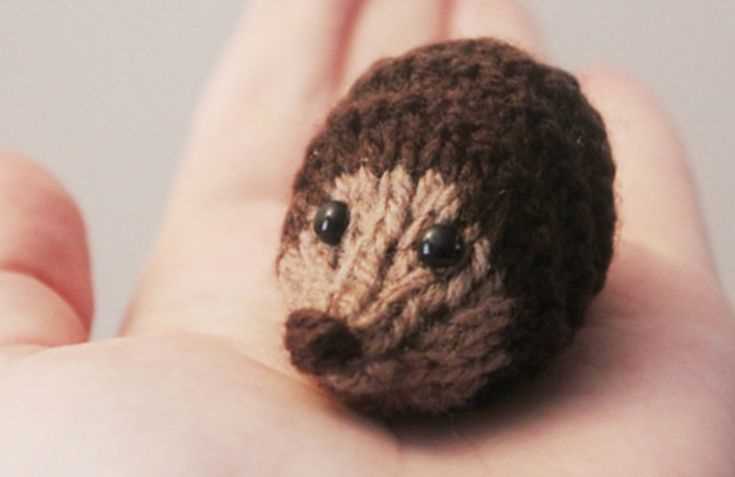 Free easy hedgehog knitting pattern