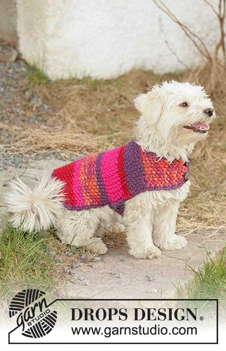 Free knitted dog coats patterns