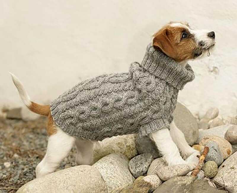 Free knitting pattern dog jumper