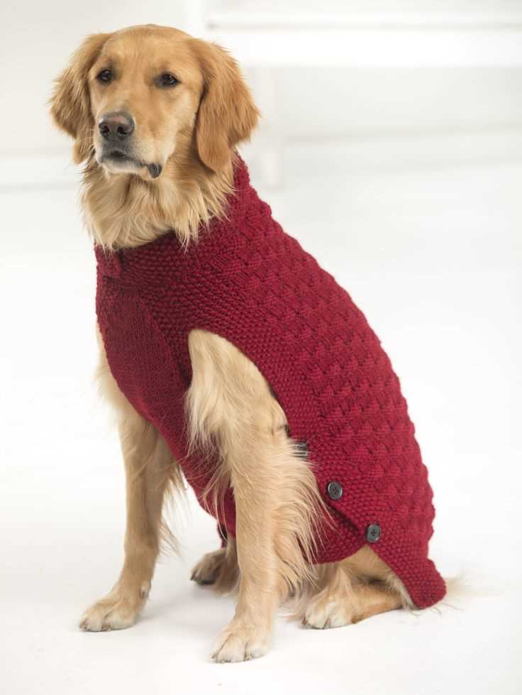 Free knitting pattern for large dog sweater