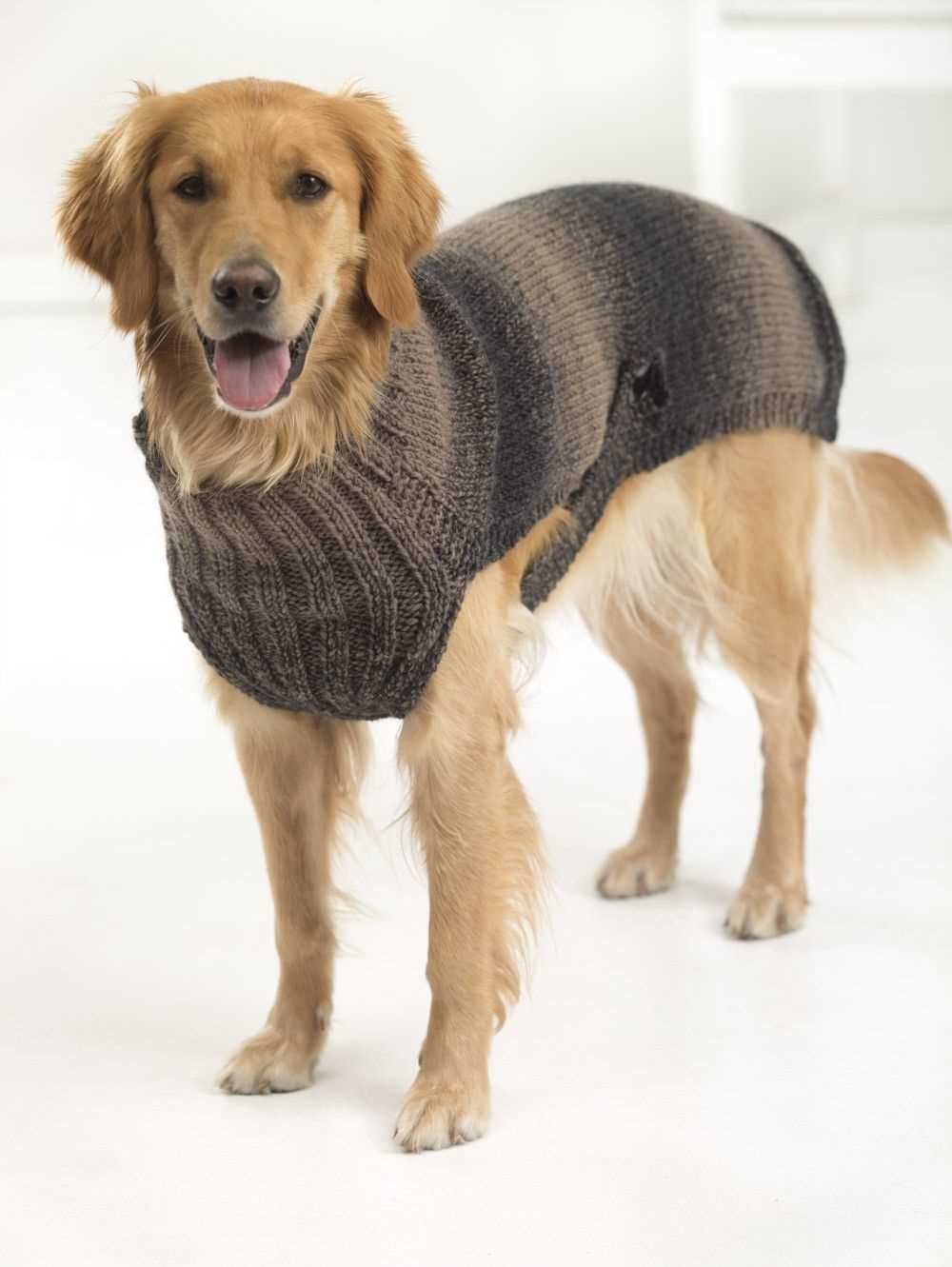 Free knitting pattern for large dog sweater