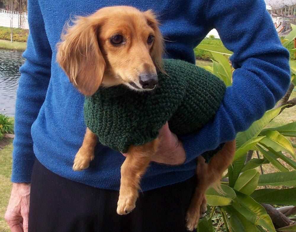 Free knitting patterns for miniature dachshund sweaters