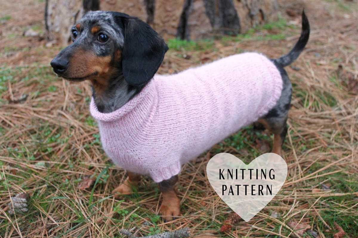 Free knitting patterns for miniature dachshund sweaters