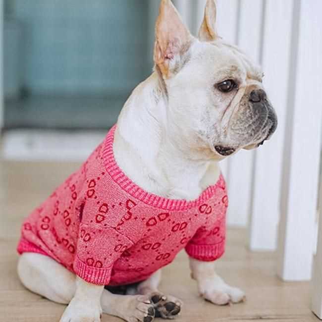 French bulldog knit sweater pattern