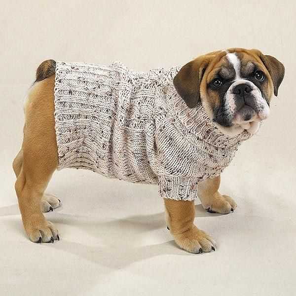 French bulldog knitting pattern free