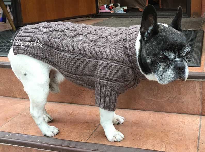 Harness-friendly dog sweater knitting pattern free