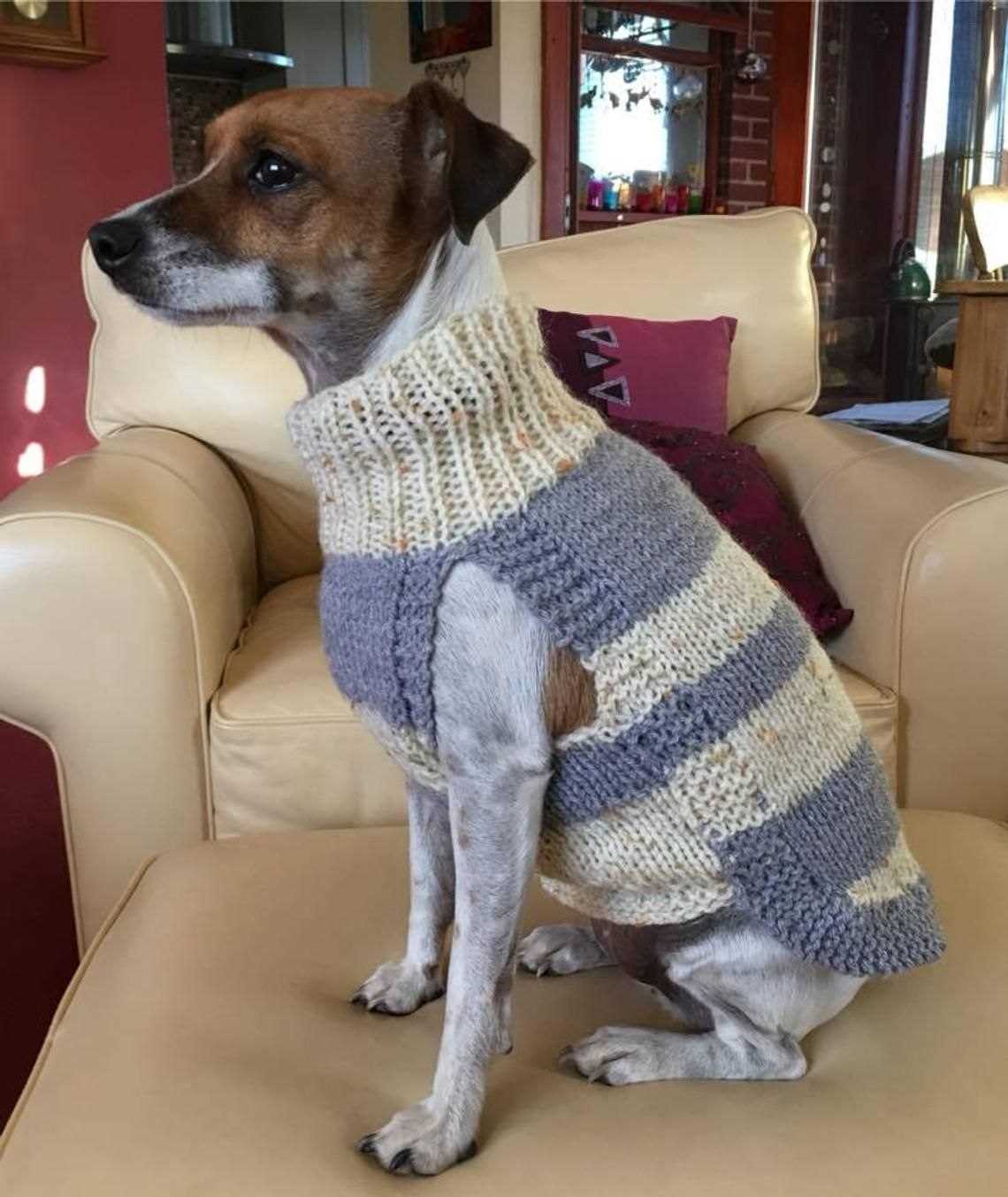 Harness-friendly dog sweater knitting pattern free